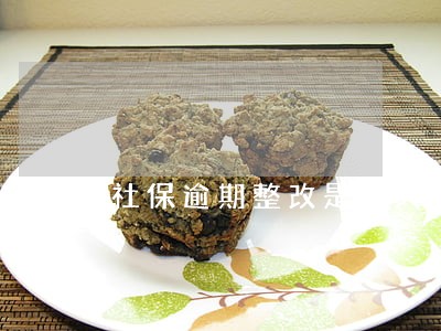 社保逾期整改是多久 社保逾期整改是多久