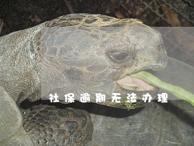 社保逾期无法办理 社保逾期无法办理