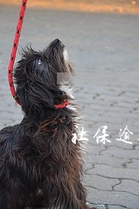 社保逾期是什么 社保逾期是什么