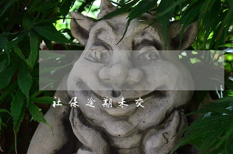 社保逾期未交 社保逾期未交