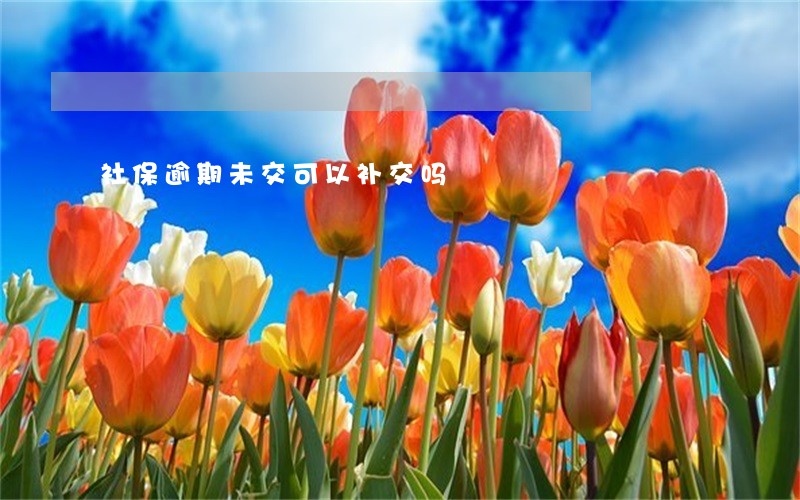 社保逾期未交可以补交吗 社保逾期未交可以补交吗