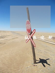 社保逾期未交如何补交 社保逾期未交如何补交
