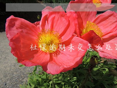 社保逾期未交怎么处罚 社保逾期未交怎么处罚