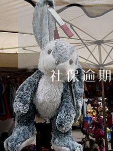社保逾期未交怎么查询 社保逾期未交怎么查询