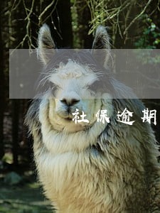 社保逾期未交有滞纳金么 社保逾期未交有滞纳金么