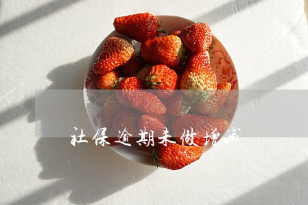 社保逾期未做增减 社保逾期未做增减