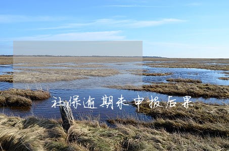 社保逾期未申报后果 社保逾期未申报后果