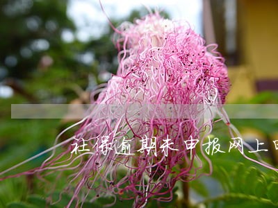 社保逾期未申报网上申报 社保逾期未申报网上申报