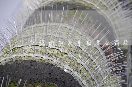 社保逾期未申报要交罚款吗 社保逾期未申报要交罚款吗