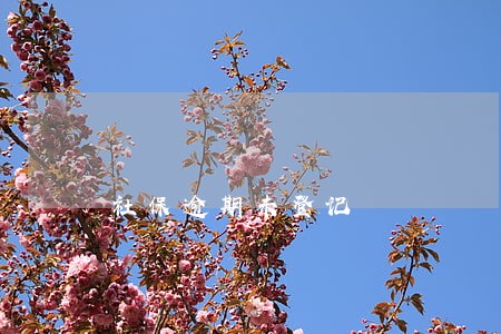 社保逾期未登记 社保逾期未登记
