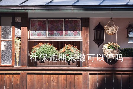 社保逾期未缴可以停吗 社保逾期未缴可以停吗