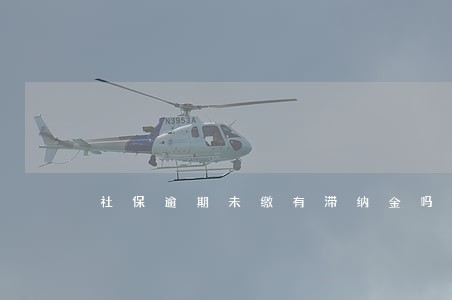社保逾期未缴有滞纳金吗