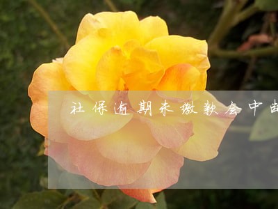 社保逾期未缴款会中断享受福利吗 社保逾期未缴款会中断享受福利吗