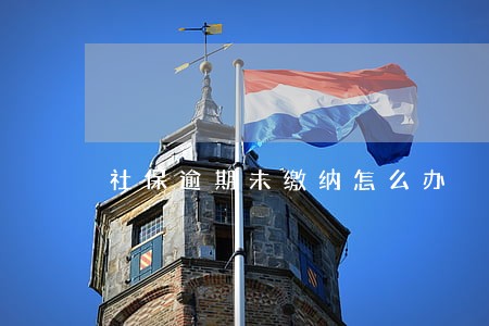 社保逾期未缴纳怎么办 社保逾期未缴纳怎么办