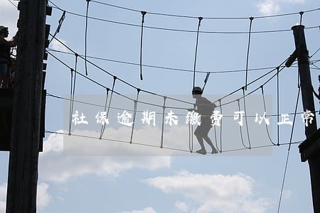 社保逾期未缴费可以正常报销吗 社保逾期未缴费可以正常报销吗