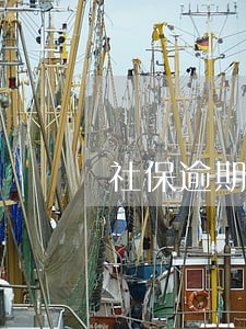 社保逾期没交会怎么样 社保逾期没交会怎么样