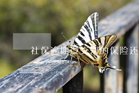 社保逾期没交别的保险还能报吗 社保逾期没交别的保险还能报吗