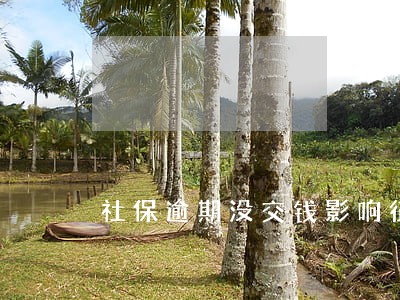 社保逾期没交钱影响征信吗
