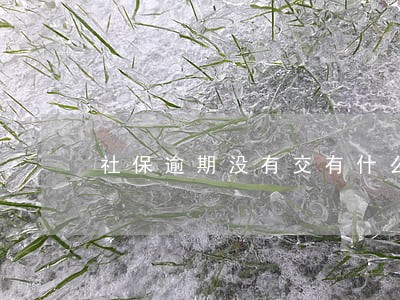 社保逾期没有交有什么后果 社保逾期没有交有什么后果