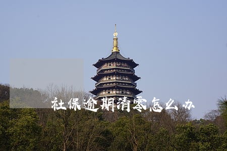 社保逾期清零怎么办 社保逾期清零怎么办