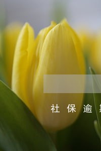 社保逾期滞纳金分录 社保逾期滞纳金分录