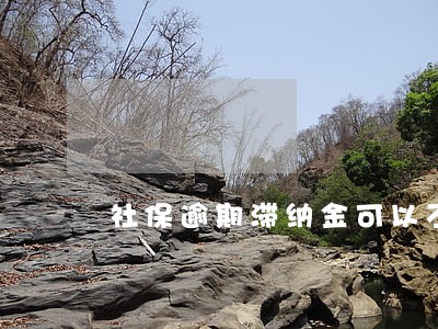 社保逾期滞纳金可以不交吗 社保逾期滞纳金可以不交吗