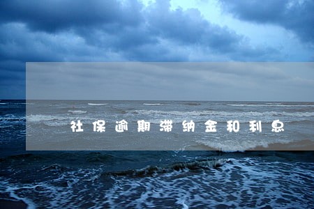 社保逾期滞纳金和利息