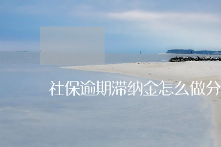 社保逾期滞纳金怎么做分录 社保逾期滞纳金怎么做分录