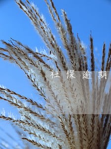 社保逾期滞纳金怎么做账 社保逾期滞纳金怎么做账