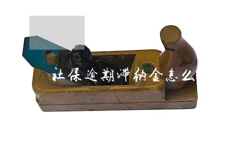 社保逾期滞纳金怎么查多少 社保逾期滞纳金怎么查多少
