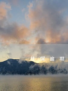 社保逾期滞纳金怎么缴纳 社保逾期滞纳金怎么缴纳