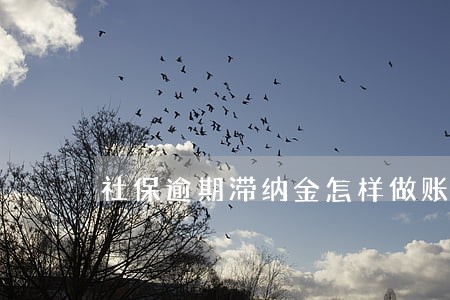 社保逾期滞纳金怎样做账 社保逾期滞纳金怎样做账