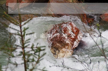 社保逾期滞纳金按多少比例交