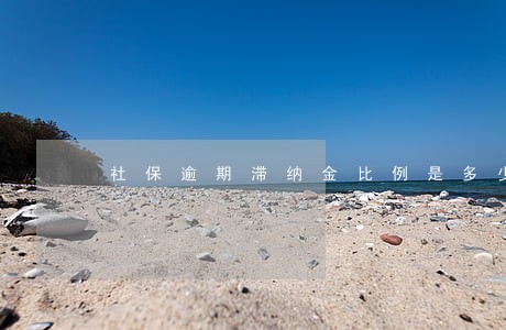 社保逾期滞纳金比例是多少 社保逾期滞纳金比例是多少