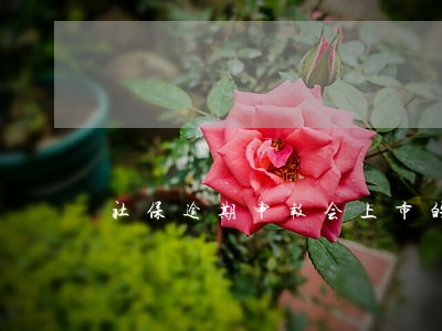 社保逾期申报会上市的影响 社保逾期申报会上市的影响