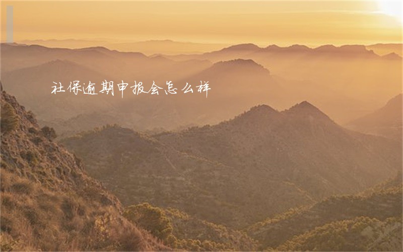 社保逾期申报会怎么样 社保逾期申报会怎么样
