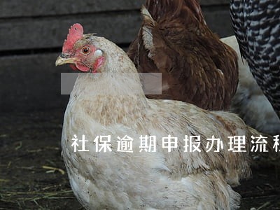 社保逾期申报办理流程 社保逾期申报办理流程