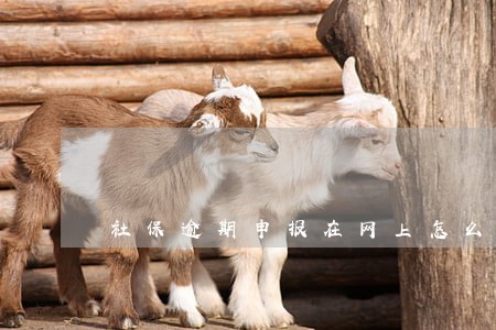 社保逾期申报在网上怎么处理 社保逾期申报在网上怎么处理