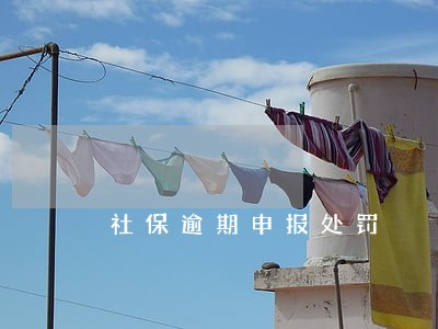 社保逾期申报处罚 社保逾期申报处罚