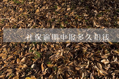 社保逾期申报多久扣钱 社保逾期申报多久扣钱