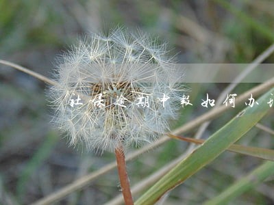 社保逾期申报如何办理 社保逾期申报如何办理