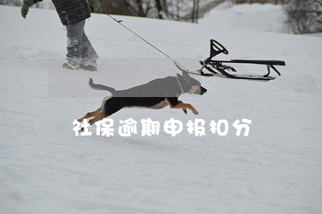 社保逾期申报扣分 社保逾期申报扣分