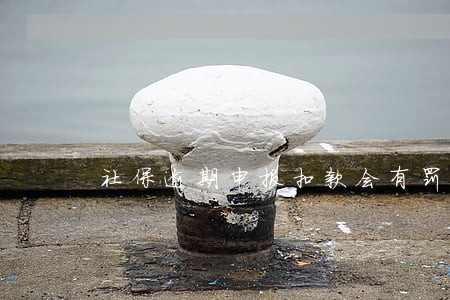 社保逾期申报扣款会有罚款吗 社保逾期申报扣款会有罚款吗