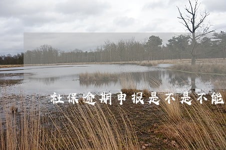 社保逾期申报是不是不能报销 社保逾期申报是不是不能报销