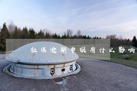 社保逾期申报有什么影响 社保逾期申报有什么影响