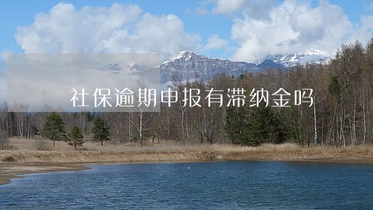 社保逾期申报有滞纳金吗