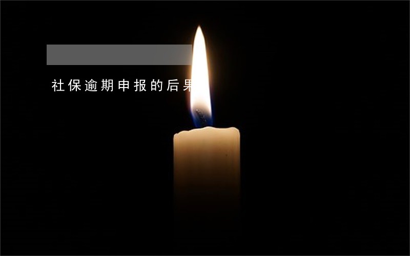社保逾期申报的后果 社保逾期申报的后果