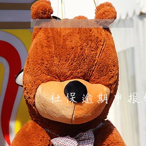 社保逾期申报的情况说明书 社保逾期申报的情况说明书