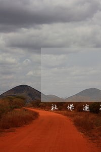 社保逾期申报该怎办 社保逾期申报该怎办