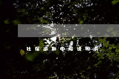 社保逾期申报说明书 社保逾期申报说明书